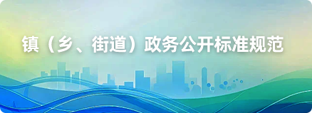 镇乡街道政务公开标准规范
